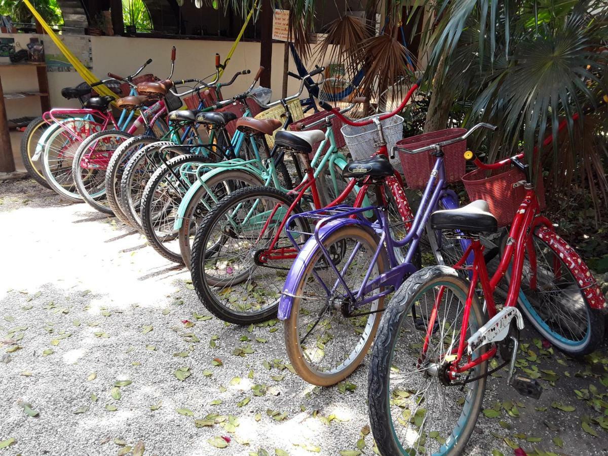 Hostal Mulut Tulum Ngoại thất bức ảnh